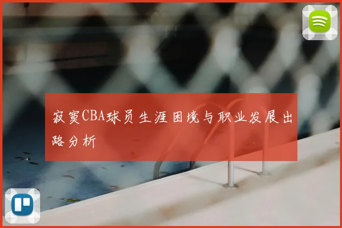 寂寞CBA球员生涯困境与职业发展出路分析