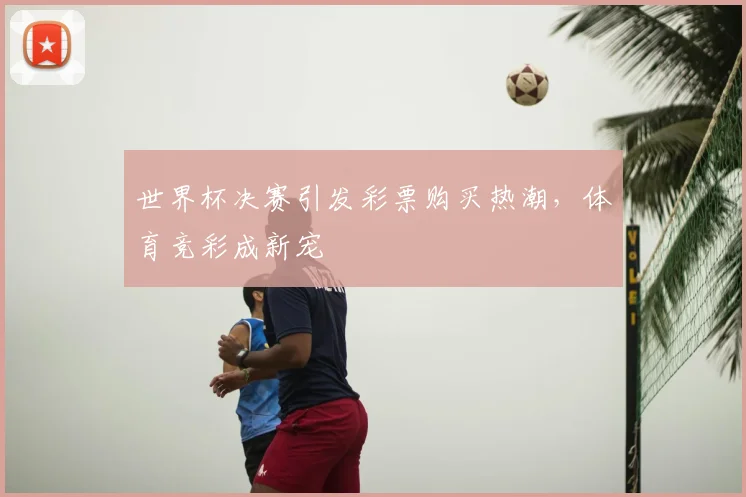 世界杯决赛引发彩票购买热潮，体育竞彩成新宠