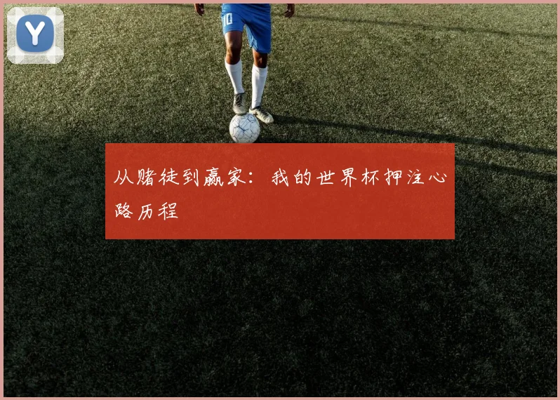 从赌徒到赢家：我的世界杯押注心路历程