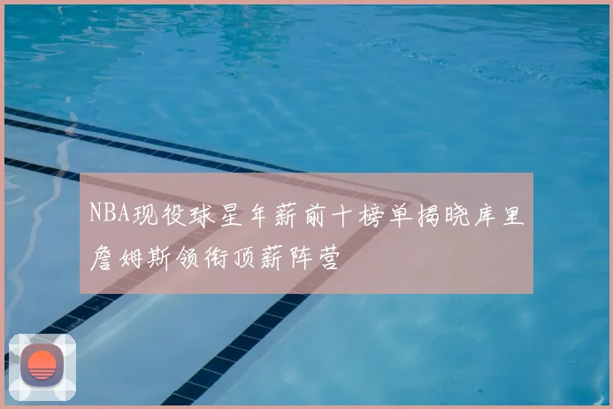 NBA现役球星年薪前十榜单揭晓库里詹姆斯领衔顶薪阵营