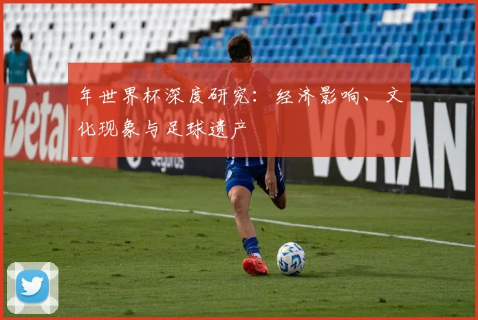 年世界杯深度研究：经济影响、文化现象与足球遗产