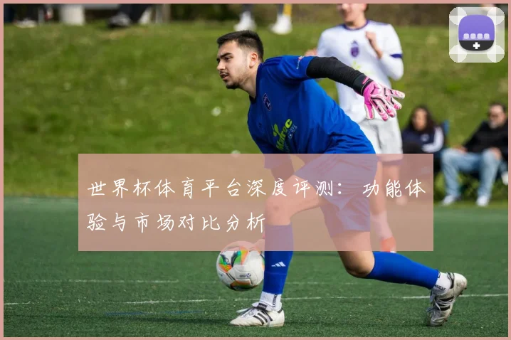 世界杯体育平台深度评测：功能体验与市场对比分析