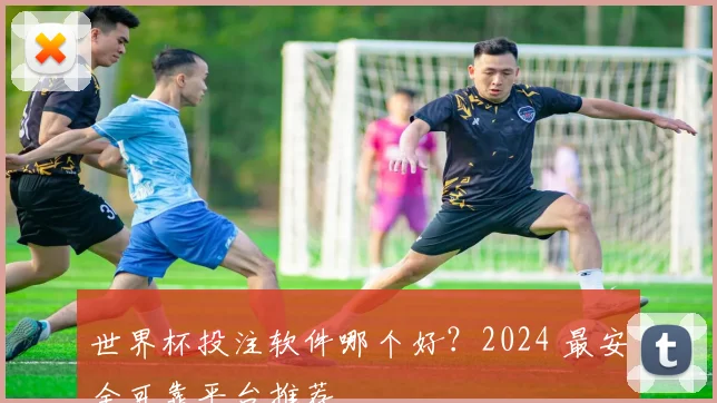 世界杯投注软件哪个好？2024 最安全可靠平台推荐