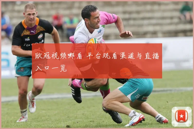 欧冠视频哪看 平台观看渠道与直播入口一览
