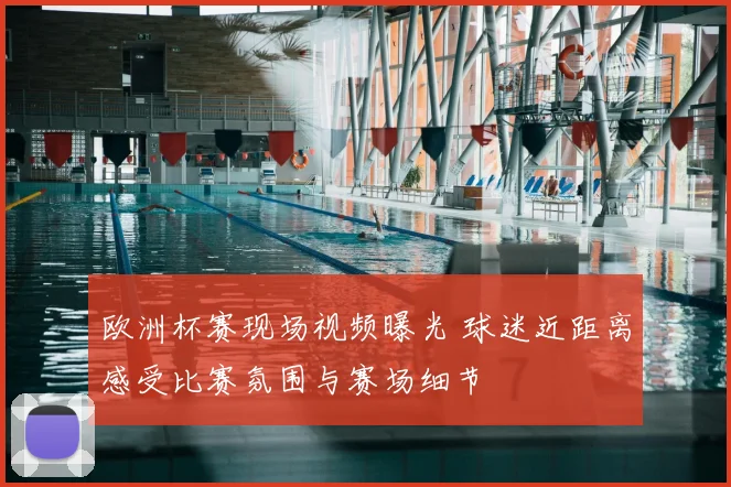 欧洲杯赛现场视频曝光 球迷近距离感受比赛氛围与赛场细节