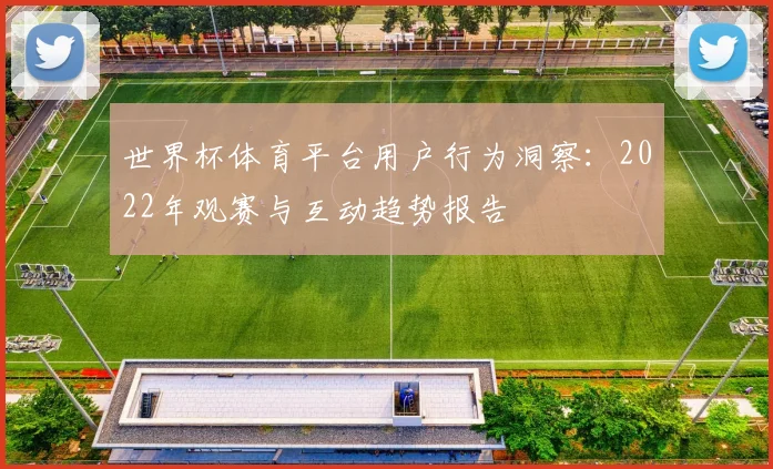 世界杯体育平台用户行为洞察：2022年观赛与互动趋势报告