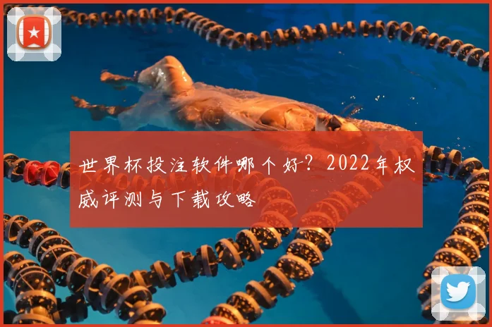 世界杯投注软件哪个好？2022年权威评测与下载攻略