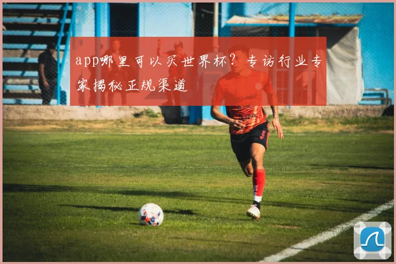 app哪里可以买世界杯?专访行业专家揭秘正规渠道