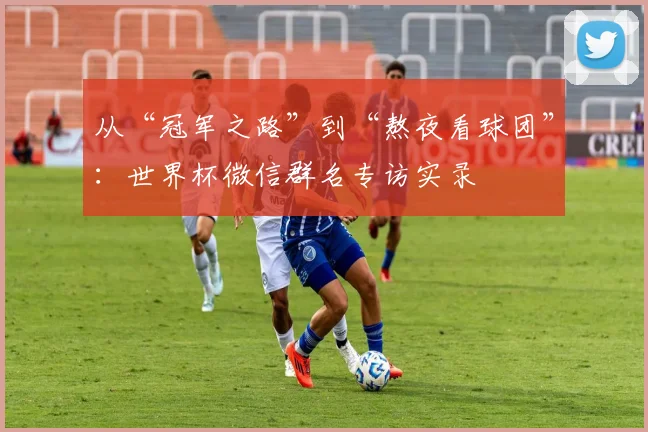 从“冠军之路”到“熬夜看球团”：世界杯微信群名专访实录