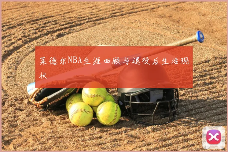莱德尔NBA生涯回顾与退役后生活现状